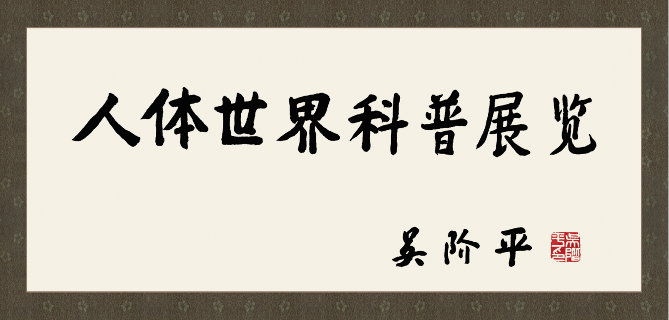 05504b2b8aa8f2a7b57319433a3824dd.png