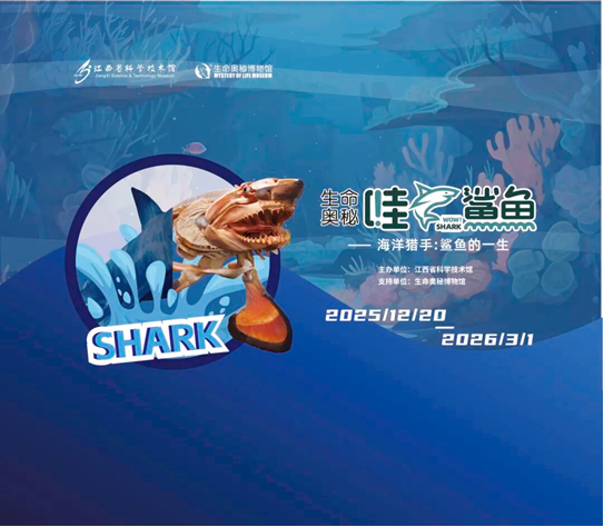 4f3e50f3-51e9-4f00-9d2c-06e3f2b7bde3.png