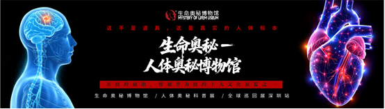 803e393e-8749-4202-b68f-0520d31a9fa6.png