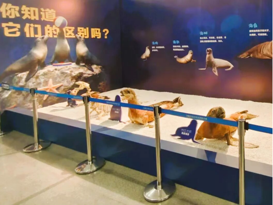 23f3080e-f6e1-481c-b93b-ae41a3c285fb.png